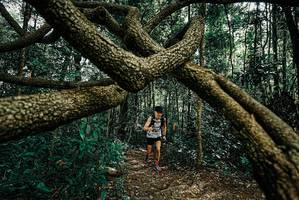 BIB: 
                            <button type="button" onclick="openModal(25664460)" class="btn btn-primary btn-sm float-right btn-popup" data-toggle="modal" data-target=".modal-high-quality">
                        <i class="fas fa-shopping-cart"></i> Add to Cart
                    </button>
                                            <button type="button" onclick="isThisMe(25664460, true)" class="btn btn-success btn-sm float-right btn-popup btn-isme hidden" data-toggle="tooltip" data-placement="bottom" title="นี่คือรูปของคุณใช่ไหม คลิกที่นี่เพื่อเอาเข้าอัลบั้ม">
                        <i class="fas fa-plus"></i> Add to album
                    </button>
                    <button type="button" onclick="isThisMe(25664460, false)" class="btn btn-warning btn-sm float-right btn-popup btn-isnotme hidden">
                        <i class="fas fa-ban"></i> Remove from album
                    </button>